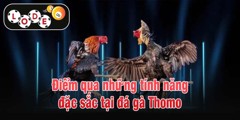 Điểm qua những tính năng đặc sắc tại đá gà Thomo