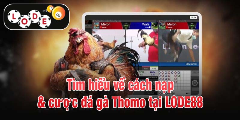 Tìm hiểu về cách nạp & cược đá gà Thomo tại LODE88